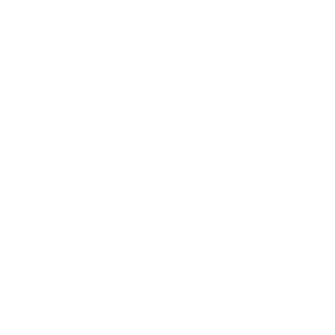 plekk icon